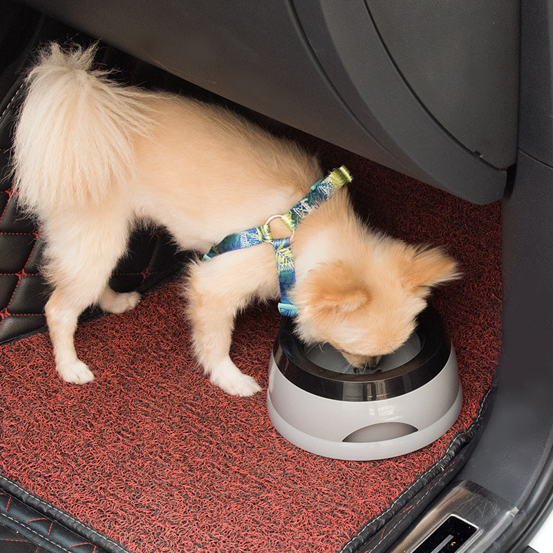Pet Dog Bowls Floating Not Wet - Travel Accessories For Dogs のレビューと価格