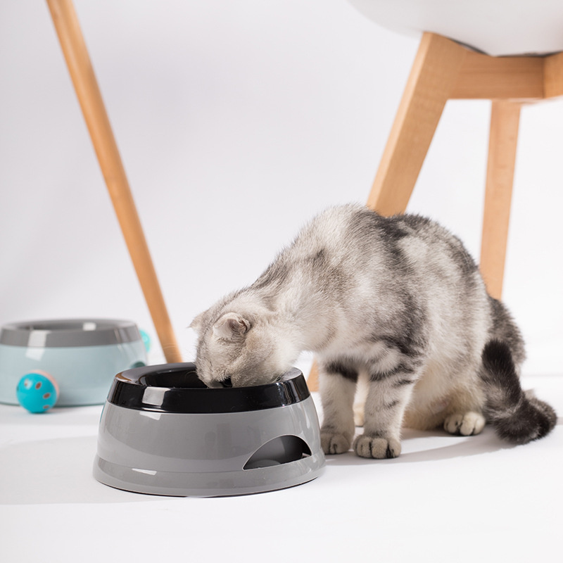 Pet Dog Bowls Floating Not Wet - Travel Accessories For Dogs のレビューと価格