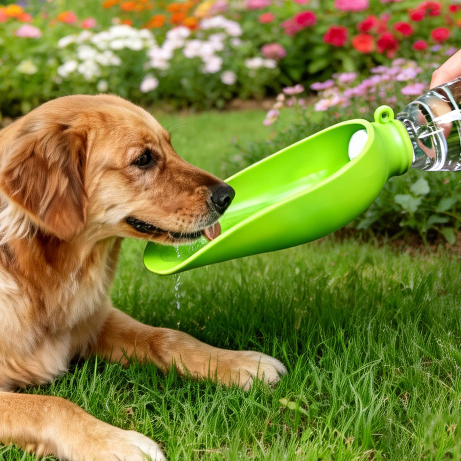 Dog Travel Water Bowl Silicone - Travel Accessories For Dogs のレビューと価格