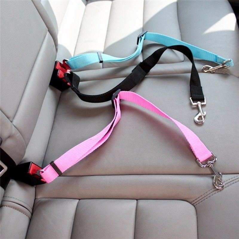 Cat Car Seat Belt Dog Accessor - Travel Accessories For Dogs のレビューと価格