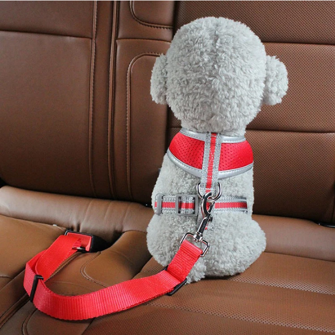 Cat Car Seat Belt Dog Accessor - Travel Accessories For Dogs のレビューと価格